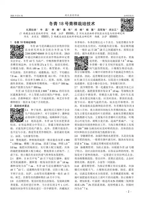 冬青18号青稞栽培技术