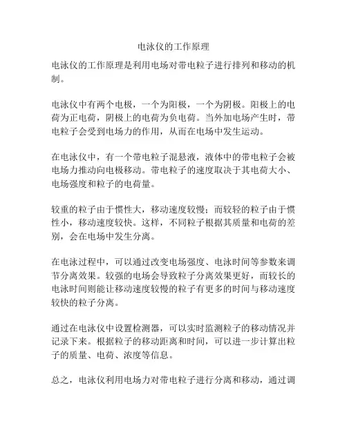 电泳仪的工作原理