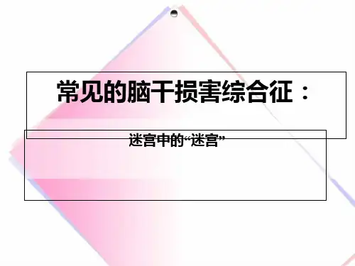 常见的脑干损害综合征