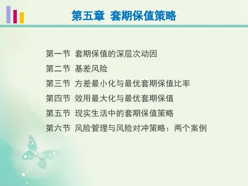 第5章 套期保值策略