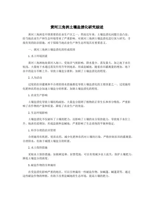 黄河三角洲土壤盐渍化研究综述