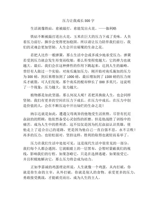 压力使我成长作文800字