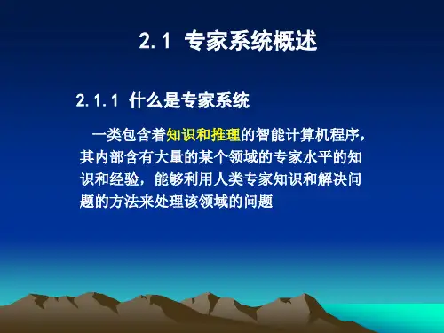 专家系统