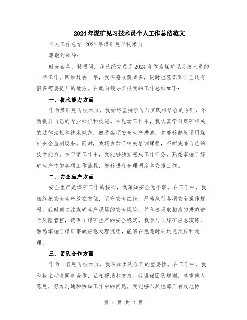 2024年煤矿见习技术员个人工作总结范文