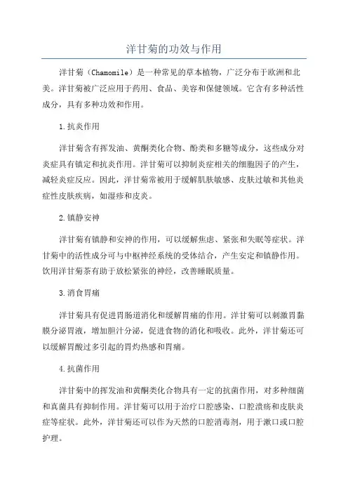 洋甘菊的功效与作用