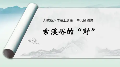 索溪峪的“野”--优质课课件