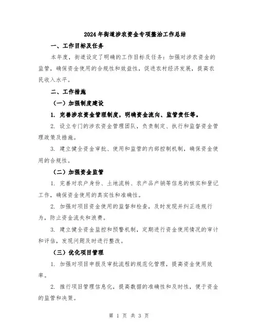 2024年街道涉农资金专项整治工作总结