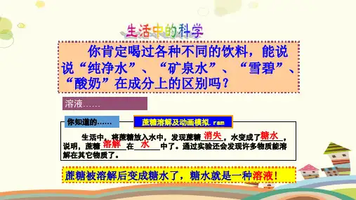 物质在水中的分散状况完整版课件
