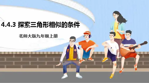 北师大9年级上册 4.4.3 探索三角形相似的条件 课件