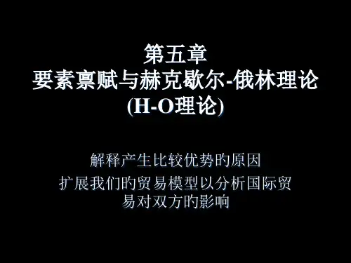 HO理论获奖课件