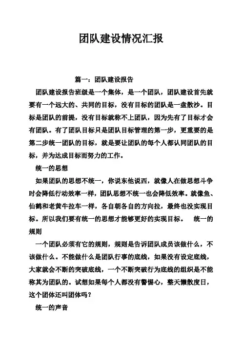 团队建设情况汇报