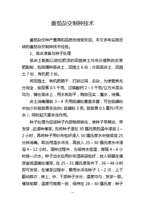 番茄杂交制种技术