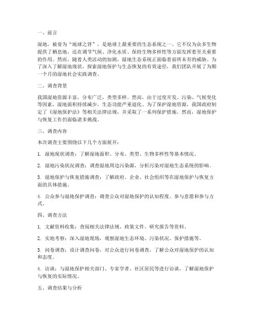 社会实践调查报告湿地