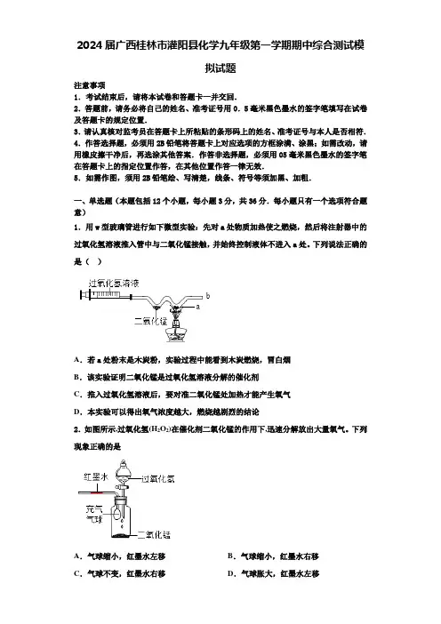 2024届广西桂林市灌阳县化学九年级第一学期期中综合测试模拟试题含答案解析