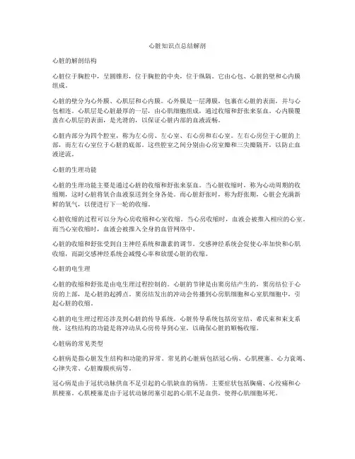 心脏知识点总结解剖