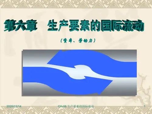第6章-生产要素的国际流动