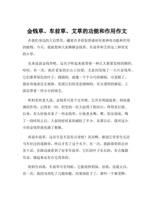 金钱草、车前草、艾草的功能和作用作文