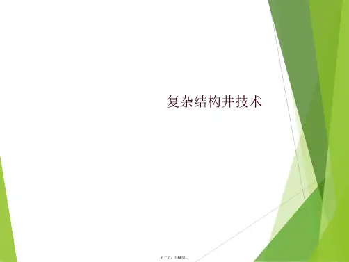 复杂结构井技术