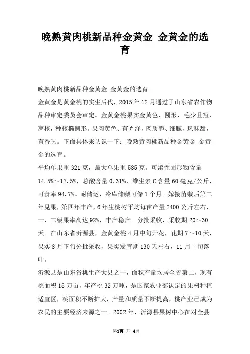 晚熟黄肉桃新品种金黄金 金黄金的选育