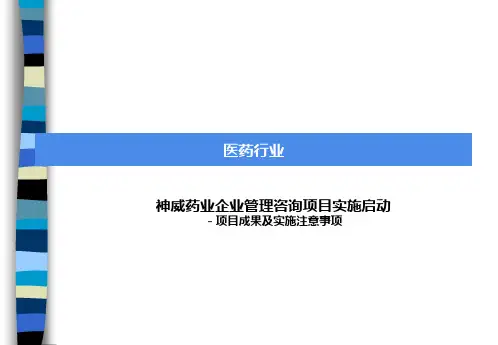 毕马威-神威-企业管理咨询项目报告(ppt 11页)