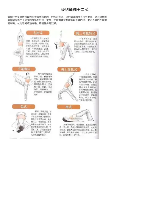 经络瑜伽十二式
