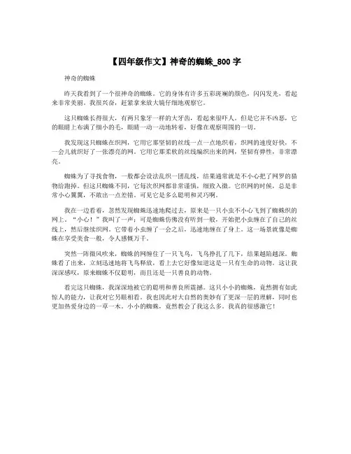 【四年级作文】神奇的蜘蛛_800字