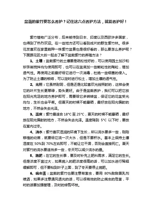 盆栽的紫竹要怎么养护？记住这六点养护方法，就能养护好！