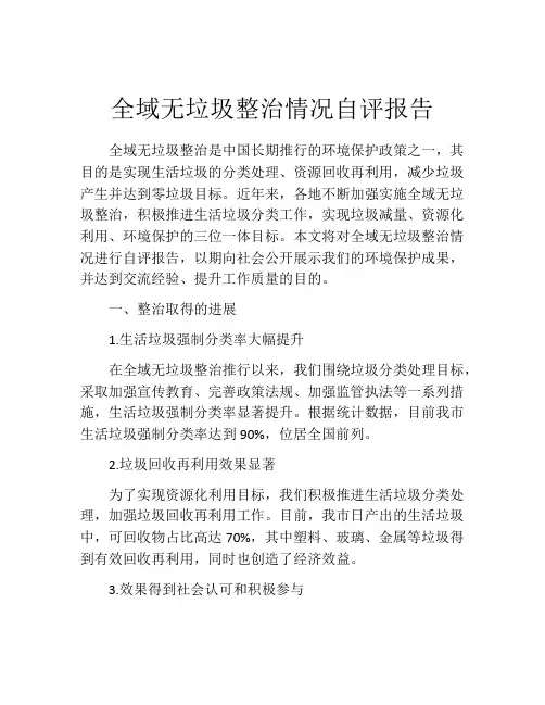 全域无垃圾整治情况自评报告
