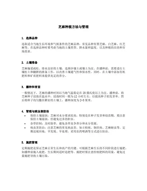 芝麻种植方法与管理