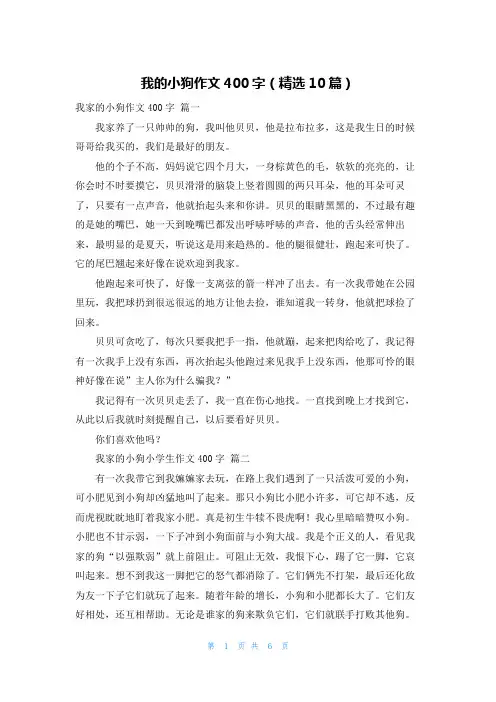 我的小狗作文400字(精选10篇)