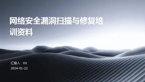 网络安全漏洞扫描与修复培训资料