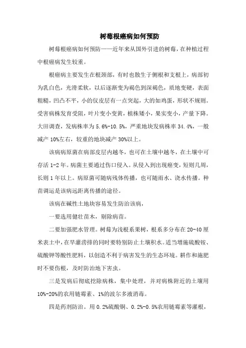 树莓根癌病如何预防