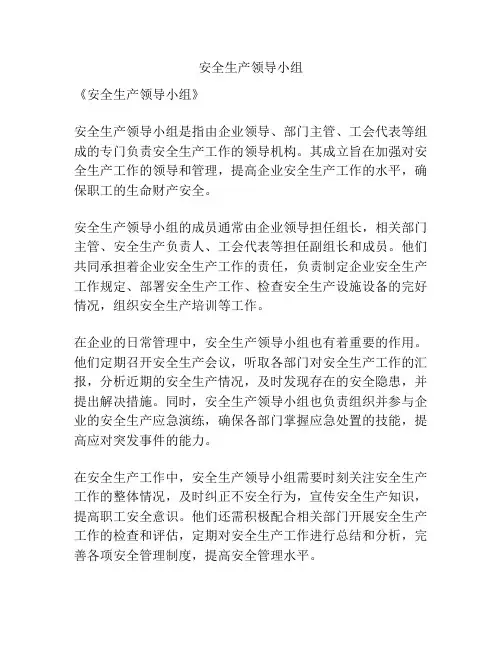 安全生产领导小组