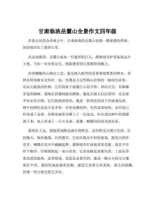 甘肃临洮岳麓山全景作文四年级