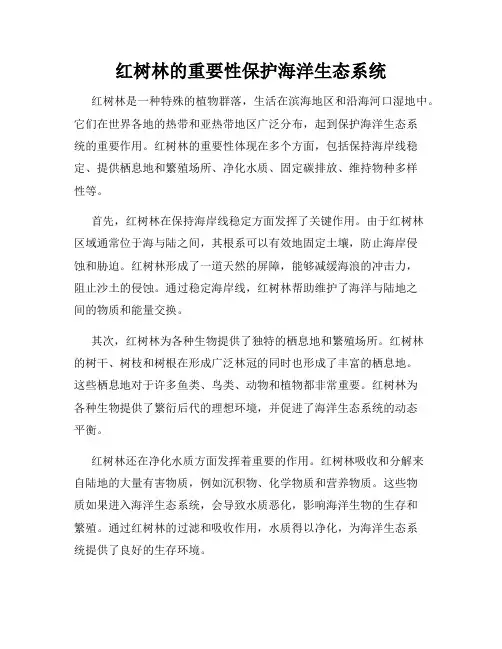 红树林的重要性保护海洋生态系统