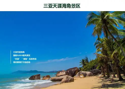 三亚天涯海角景区案例分析