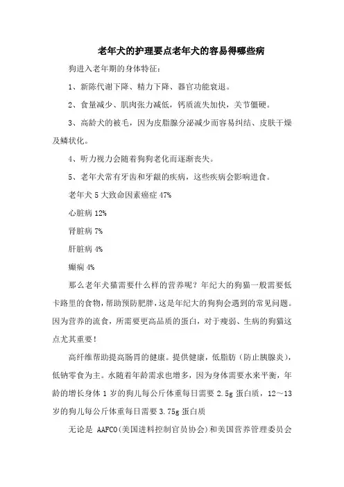 老年犬的护理要点老年犬的容易得哪些病