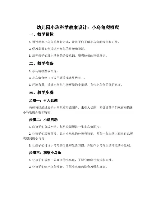 幼儿园小班科学教案设计：小乌龟爬呀爬