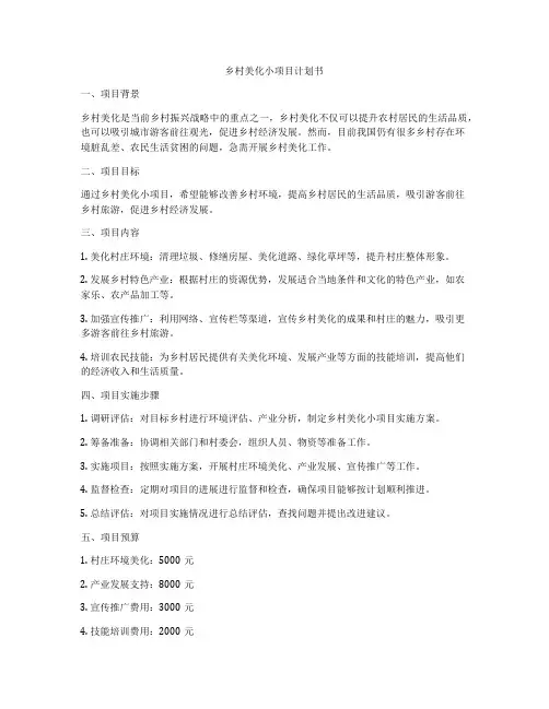 乡村美化小项目计划书