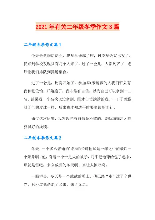 2021年有关二年级冬季作文3篇