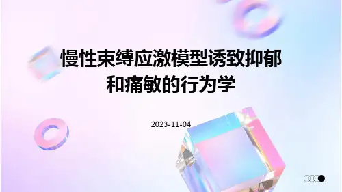 慢性束缚应激模型诱致抑郁和痛敏的行为学