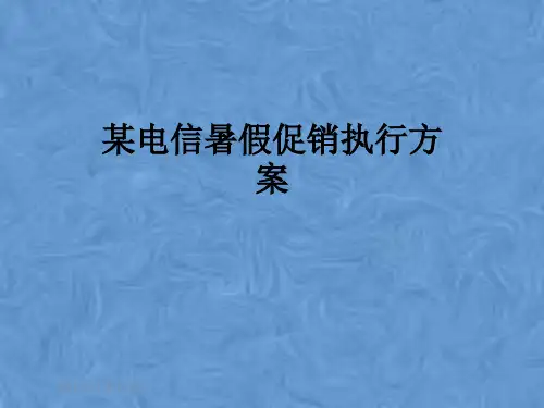 某电信暑假促销执行方案