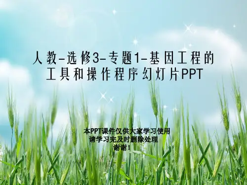 人教-选修3-专题1-基因工程的工具和操作程序幻灯片PPT