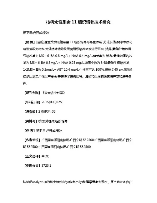桉树无性系雷11组织培养技术研究