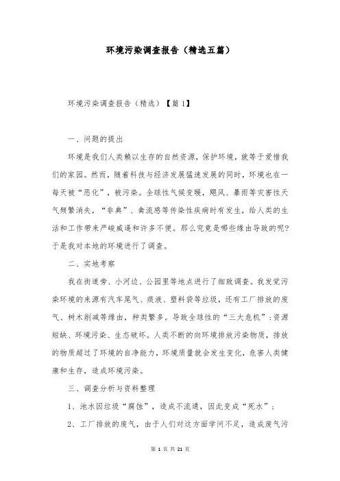 环境污染调查报告(精选五篇)