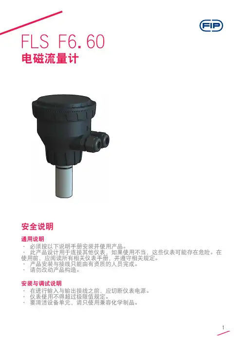 FLS F6.60电磁流量计安全说明说明书