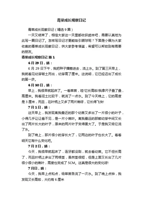 青菜成长观察日记