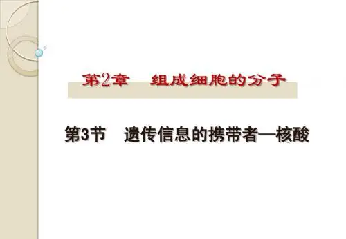第二章第三节遗传信息的携带者──核酸