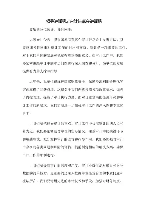 领导讲话稿之审计进点会讲话稿