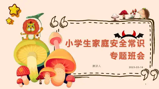小学生家庭安全常识教育(课件)-小学生主题班会